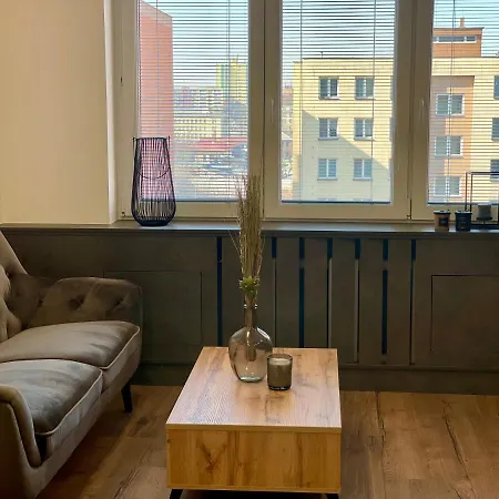 Luxusni Nove Zrekonstruovany Apartman 2kk - 47m2 - Centrum Apartment *